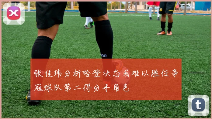 张佳玮分析哈登状态或难以胜任争冠球队第二得分手角色