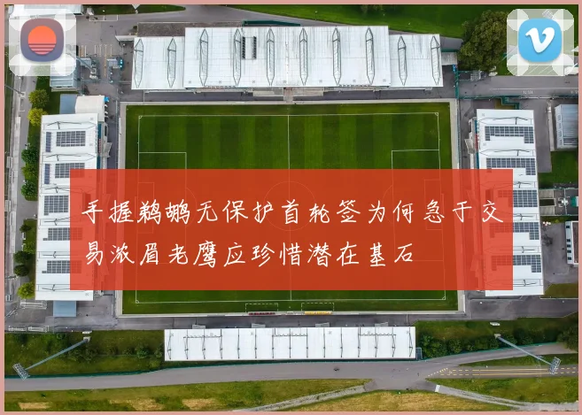 手握鹈鹕无保护首轮签为何急于交易浓眉老鹰应珍惜潜在基石