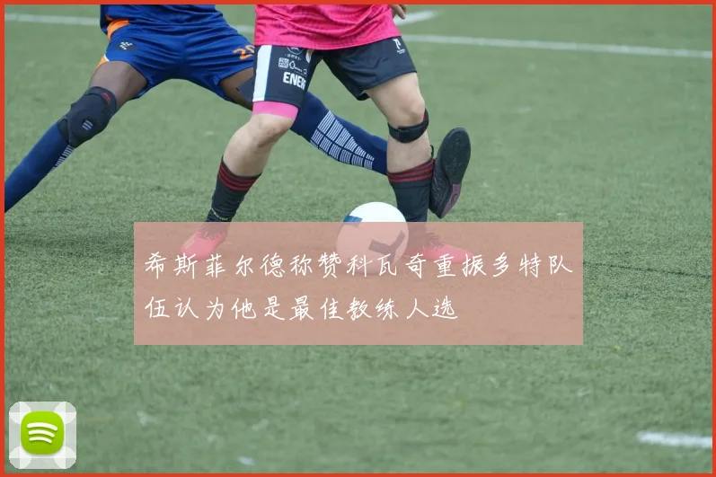 希斯菲尔德称赞科瓦奇重振多特队伍认为他是最佳教练人选